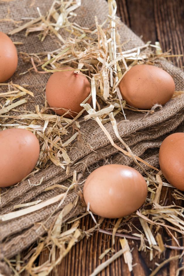 Frische Eier - Schmidts Hofgenuss Windsbach