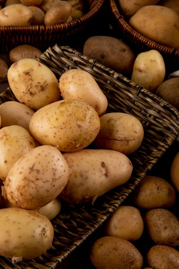 Kartoffeln - Schmidts Hofgenuss Windsbach