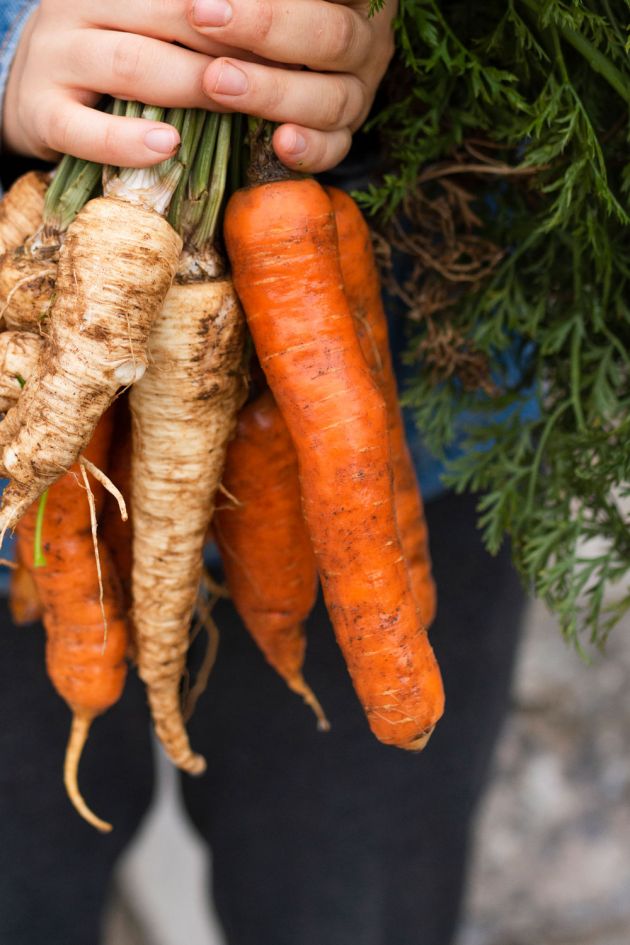Obst und Gemüse - Schmidts Hofgenuss Windsbach